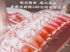 -巴奴毛肚火锅(龙湖锦艺城店)