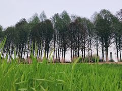 -滨江生态公园