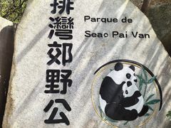 -石排湾郊野公园