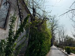 -斯多格书乡(北京大学畅春园店)