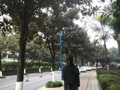 -西南政法大学(渝北校区)