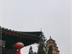 -大唐博相府酒店·陕西官府菜