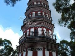 -顺峰山公园