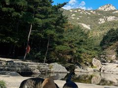 -无染寺