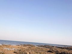 -渡海小渔村.老辈日照菜