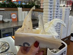 -野人先生Gelato(上海长宁龙之梦店)