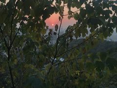 -杭州半山国家森林公园