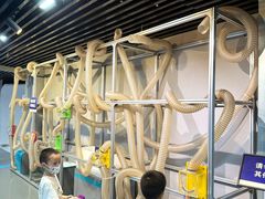 -陕西科学技术馆