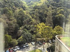 -天明山温泉大酒店