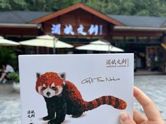 -普洱太阳河森林公园
