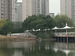-新江湾城公园