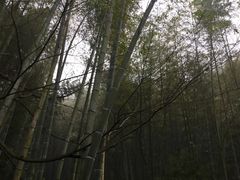 -法云古村
