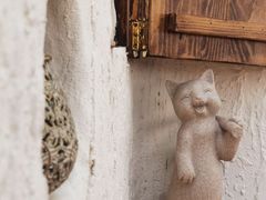 -Sirena海妖日咖夜酒