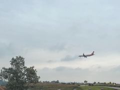 -空港花田景区