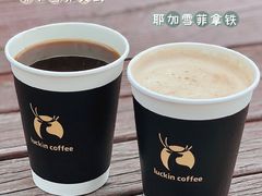 -瑞幸咖啡(凯德龙之梦莘庄店)