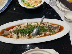 -宛平九号