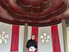 -香雪海