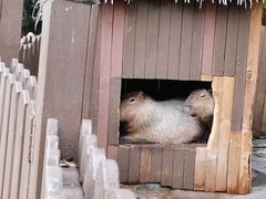 -杭州长乔极地海洋公园