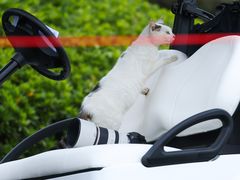 -苏州太湖国际高尔夫俱乐部