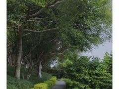 -五通灯塔公园
