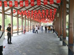-白洋淀景区