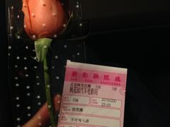-枫花园汽车电影院(朝阳公园店)