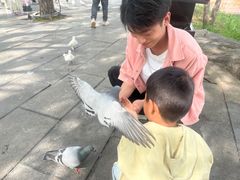 -中国翰园碑林