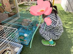 -乐融婴幼儿成长中心(四季青校区)