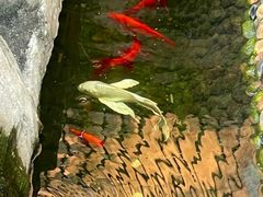 -海韵之星邮轮水会(明发商业广场店)