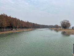 -苏州太湖湖滨国家湿地公园