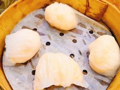 晶莹鲜虾饺-添好运点心专门店(深水埗店)