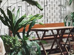 -The Daily Fix Cafe