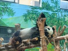 -黔灵山公园-南门售票处