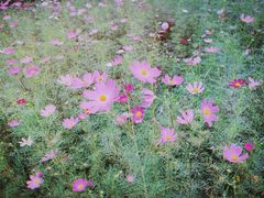 -回龙观体育文化公园