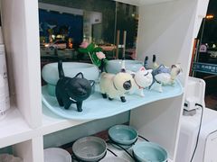 -萌兽医馆·宠物医院·猫骨科(创景店)
