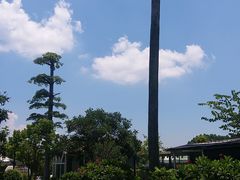 -花溪雨·森林餐厅(石基店)