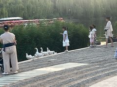 -南翠屏公园