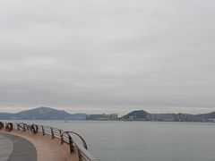 -演武大桥观景平台