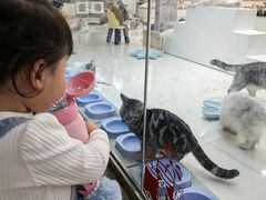 -万达广场(南京江宁店)