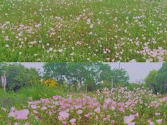 -滆湖低碳生态公园
