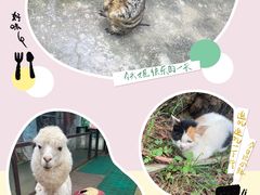 -云南野生动物园