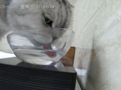 -美联众合动物医院·24h转诊中心