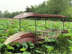 -东郊湿地公园