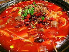 -鸽子窝(青塔店)