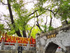 -大槐树寻根祭祖园