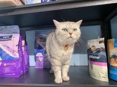 -小呆的宠物店·宠物售卖·宠物寄养(城西店)