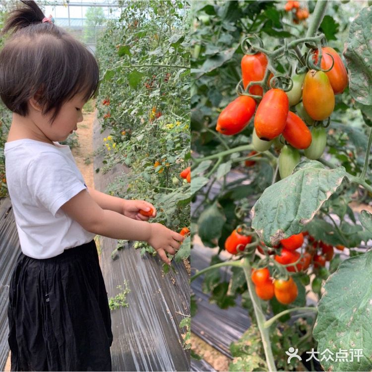 乐ZOO亲子游必去，北京周末娃放电好去处！