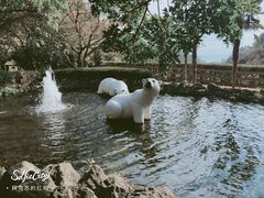 -济州岛泰迪熊博物馆