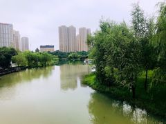 -洋湖国家湿地公园