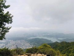 -梧桐山风景名胜区